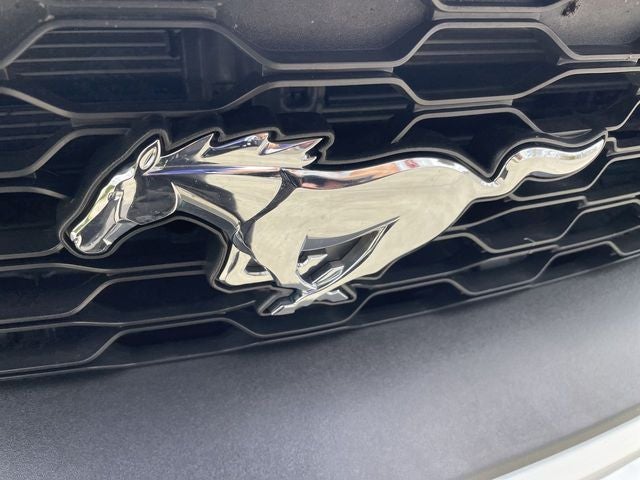 2022 Ford Mustang EcoBoost