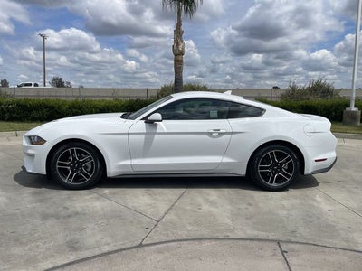 2022 Ford Mustang EcoBoost