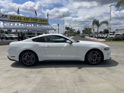 2022 Ford Mustang EcoBoost