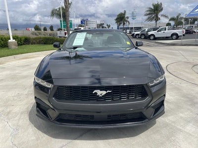 2024 Ford Mustang EcoBoost