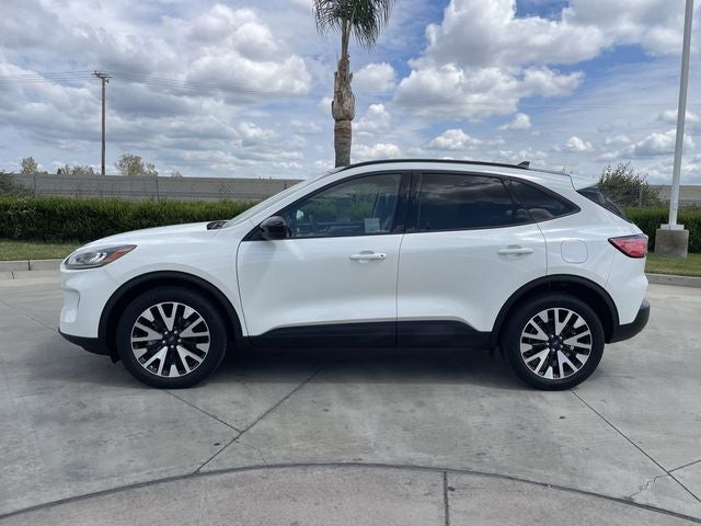 2020 Ford Escape Hybrid SE Sport